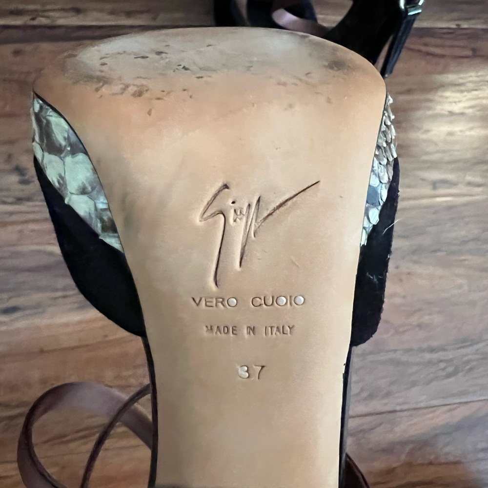 Giuseppe Zanotti